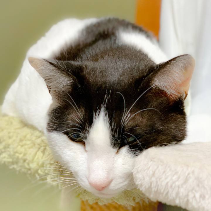 2f3a35dd 8137 46d2 b100 f602f616d631 1558750392325