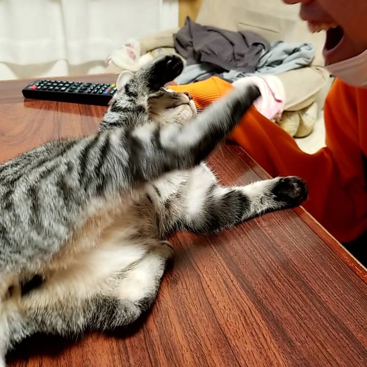 2f3a5e14 847b 4466 8036 8853c9e0d984 1668601947372