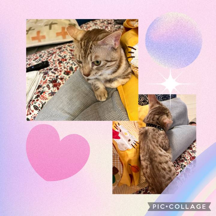 2f3a7334 71ac 4e3b a749 07c482e14e6e 1682130230299