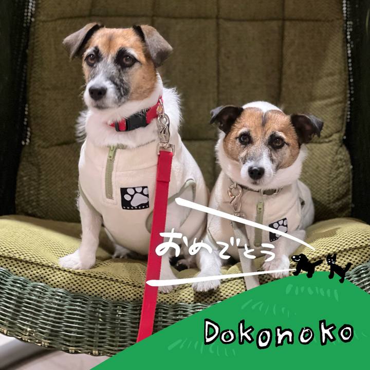 2f3abd63 e7a7 460f a032 93d6229915ab 1685957030473