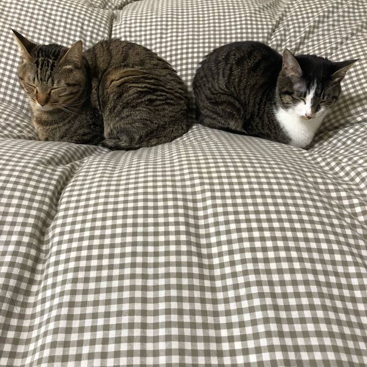 2f3ae2cb 862f 477f 94c6 9b669e249d4d 1520392278043