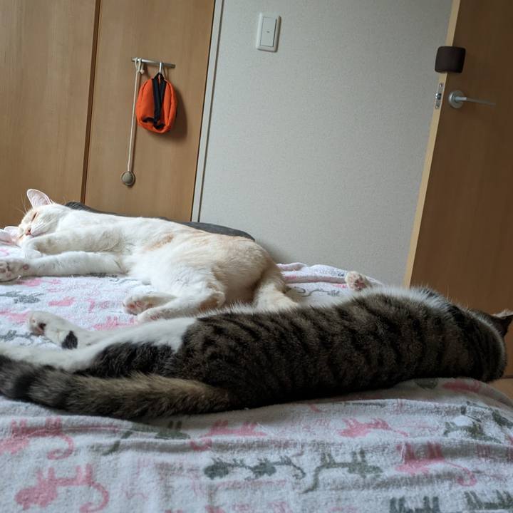 2f3b1e30 e7b2 409c b2f7 146755287a38 1715593299692