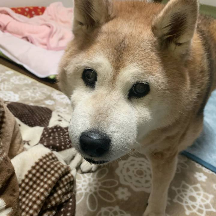 2f3b3cc3 be4b 4a2b b7f3 f04f8366ba27 1669286656328