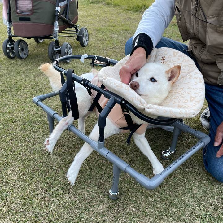 2f3b835c 3866 4f30 b68b c2220855e851 1668681047809