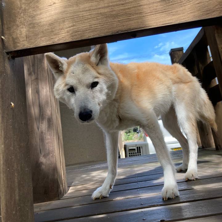 2f3b8481 e81f 4aa5 9856 b610e2ad504f 1601369263720