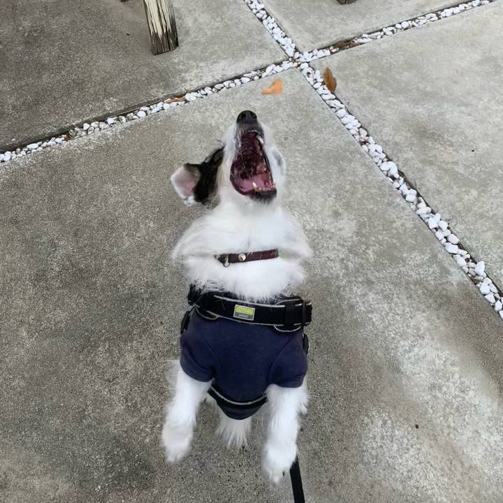 2f3b9f09 b8cb 468d bdea a6a0242e0060 1747184344479