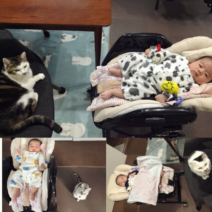 2f3baf72 f916 49b3 80b0 78cf97b47193 1612588507902