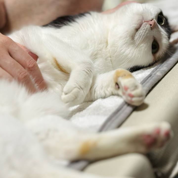 2f3bf20a 58bb 456e 93a9 88b1d728d272 1724370853972