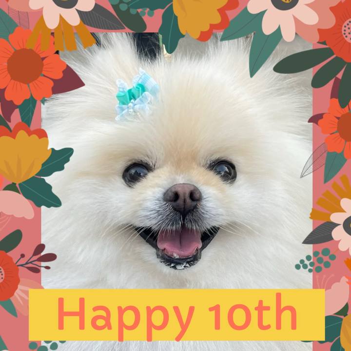 2f3c22fe c9ee 4f7e 9add 8a268576bea7 1754778493552