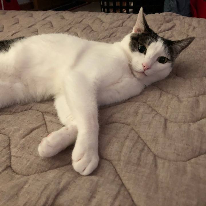 2f3c456e 74a5 4479 b61a 7e19bffacd4c 1691704528749