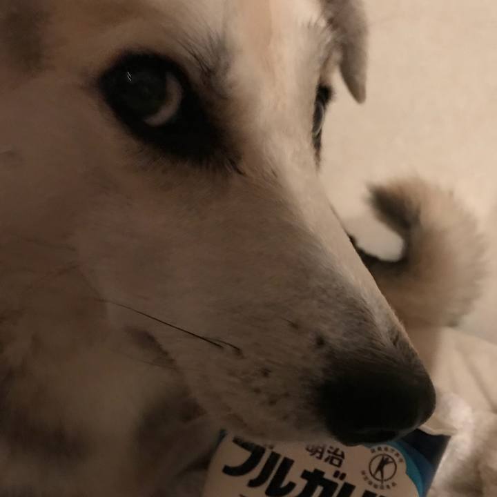 2f3c6586 a473 4f64 89b0 9f97687a0bcc 1549284155421