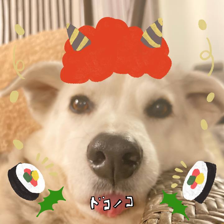 2f3cb633 082d 48d2 a01a fbeffc3db3f4 1706785070982