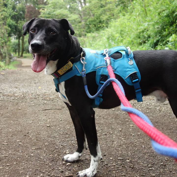 2f3cc15b 7dc6 43c3 b9be 7a8fab5adc1d 1626135881560