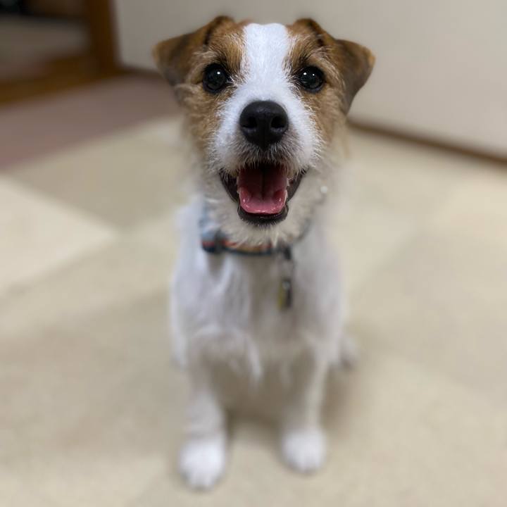 2f3cfcf4 3cb2 4e3b 9152 1b2f1031d29f 1667737576708