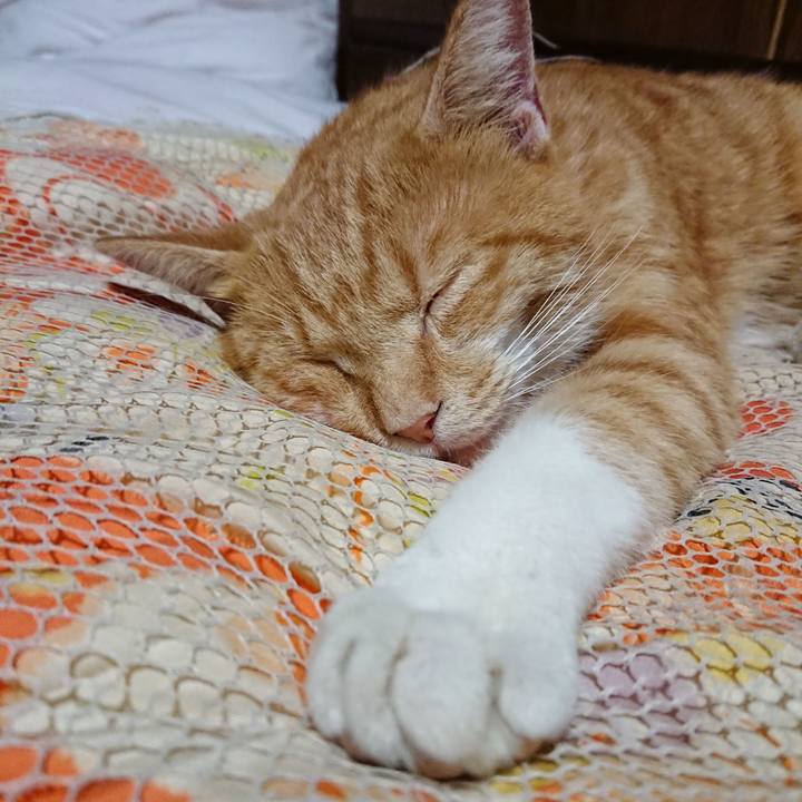 2f3d2618 ef77 47b6 86c3 8694560f11bc 1568293213990