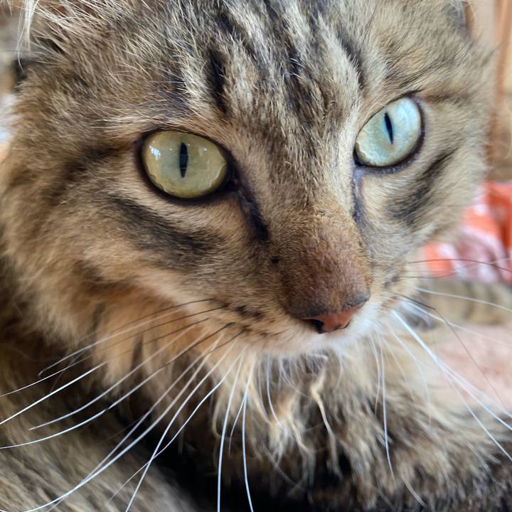 2f3d2c43 a372 4fec b6a4 ec1b5fe9df92 1747539912685