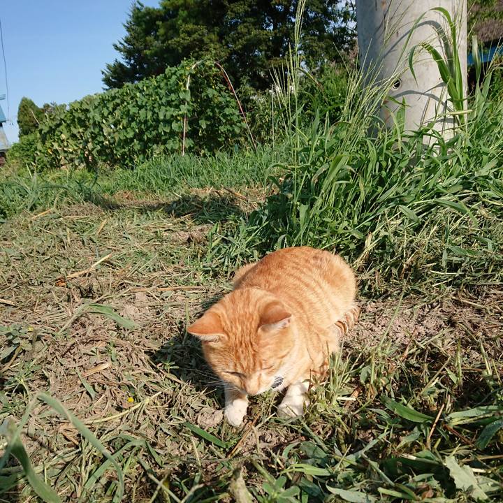 2f3d32be d8e2 4ebe bc7f f00d6c61797c 1565389946021