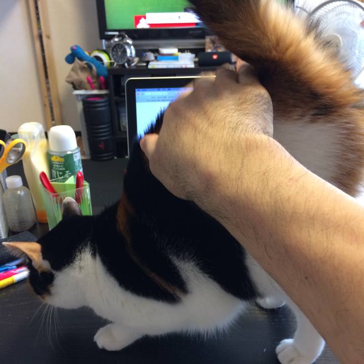 2f3dd71b 527f 46d7 a91c a6d37e1c4473 1571019130125