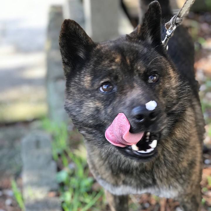 2f3e49af d8df 47a6 905c 89c2dd6b1006 1522883930358