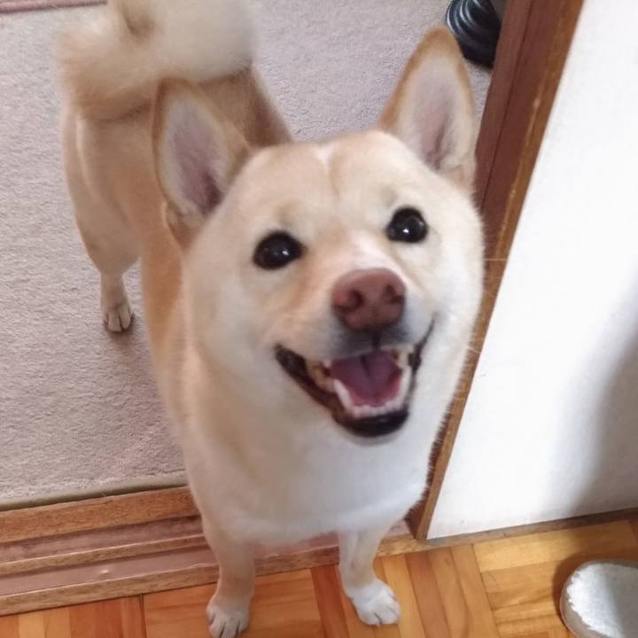 2f3e59a7 1605 4ac8 8609 974a6c24ed34 1553638260499