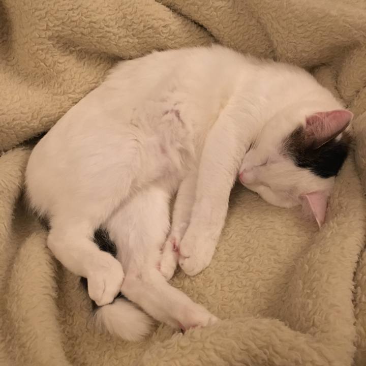 2f3e64fd f40d 4ccb 9ebe 9beb22126a2e 1518055023410