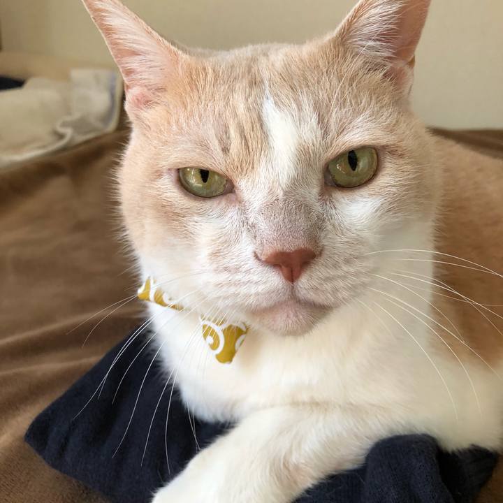 2f3e6669 cd2b 4425 956e d44b6ded3a7a 1570140923020