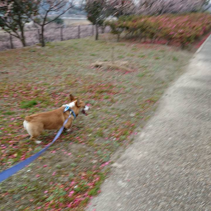 2f3e7887 5990 4fa4 8813 ab1daa853609 1582603351411