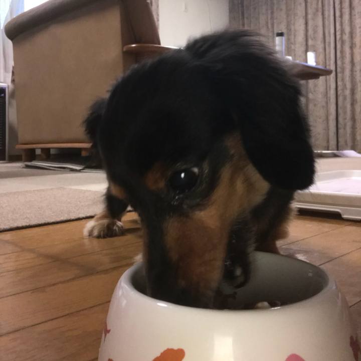 2f3e81d0 0a6d 4cbb 8c10 145f206feb4c 1535061125076