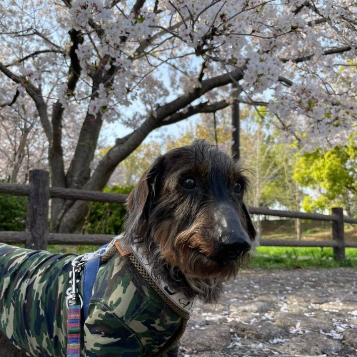 2f3ee942 5fdc 4bd5 b16b 3e36424d7c74 1617187001111