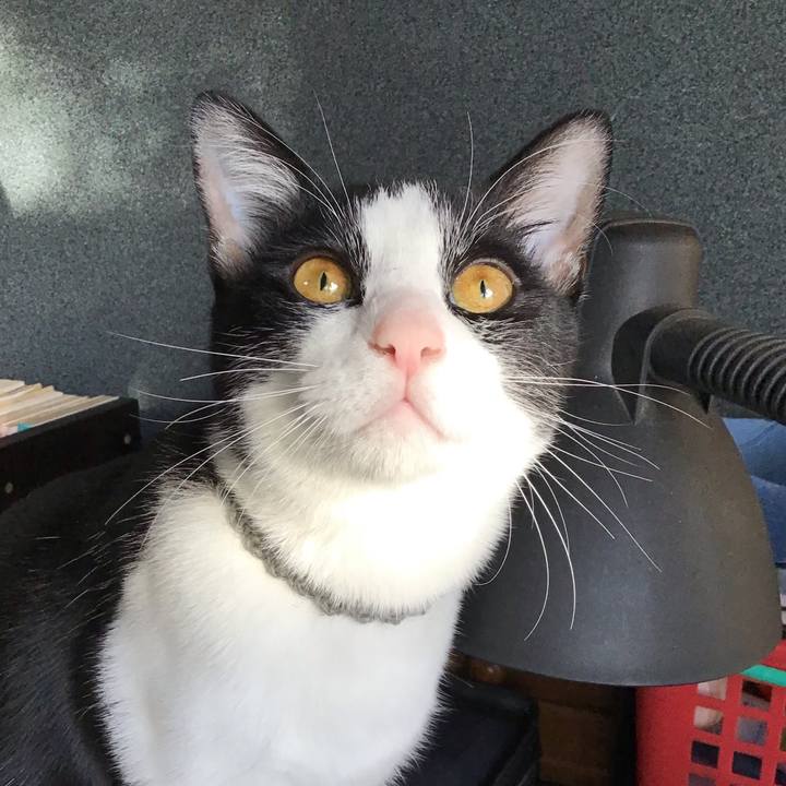 2f3eeaca e35d 491b b5d2 4f7f14853c1c 1639609784110