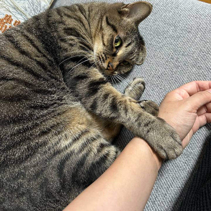 2f3f167d 7b62 4664 875b 1366341895c4 1761054654039