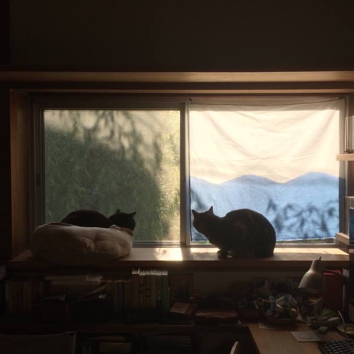 2f3f45a5 2472 41d5 9358 249eee327ebb 1586816228059