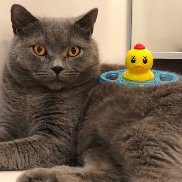 2f3f56f7 09f8 4bad ba9d e635990e27bb 1511959474886