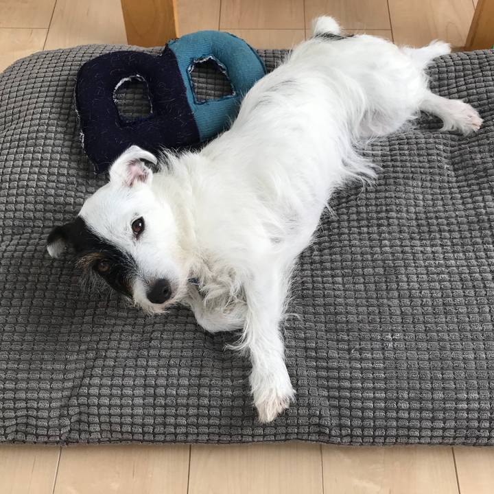 2f3f6f93 31d5 4bb7 bf71 03ac92c8608c 1533861155351