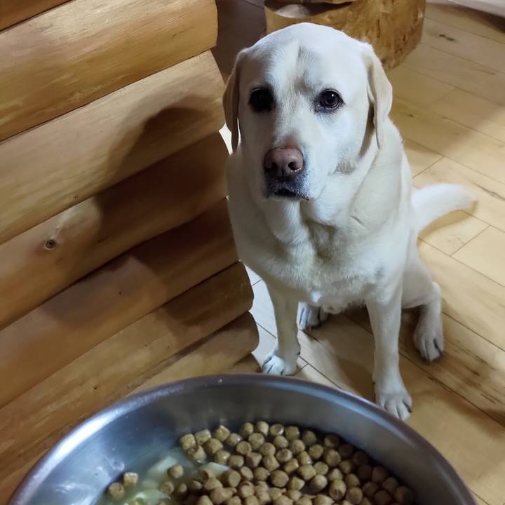 2f3f7e4d cbae 445c b9fa 9c57aa0e520d 1715960246257