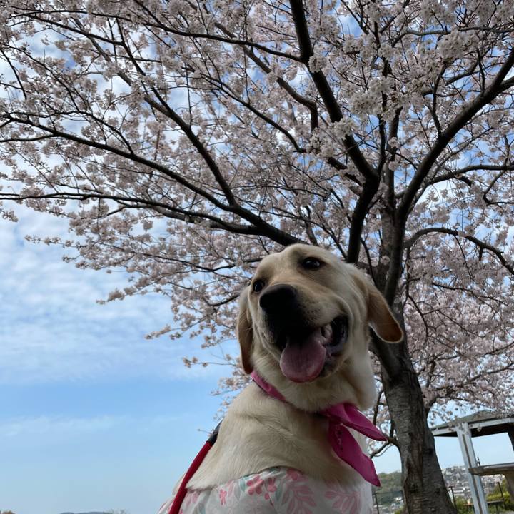 2f3fb1e9 60d8 4e6e 9205 76b99d105f68 1648537070738