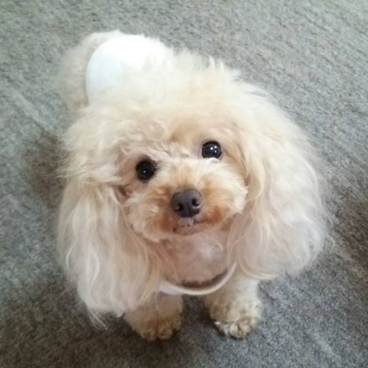 2f3fc351 2c22 48f8 a231 efab703b679d 1538383830719