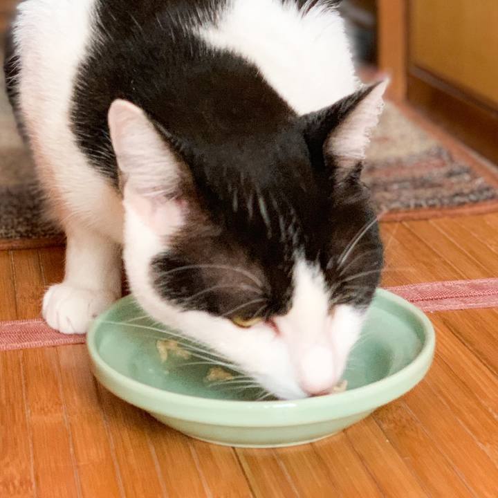 2f3fe6f9 3b64 47a9 a4a6 88eff33a5cf4 1571275623869