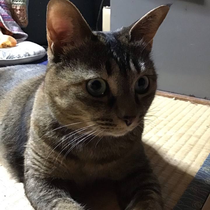 2f3fe8de 332b 4568 b2ab b1d66d06ffa5 1738407468982