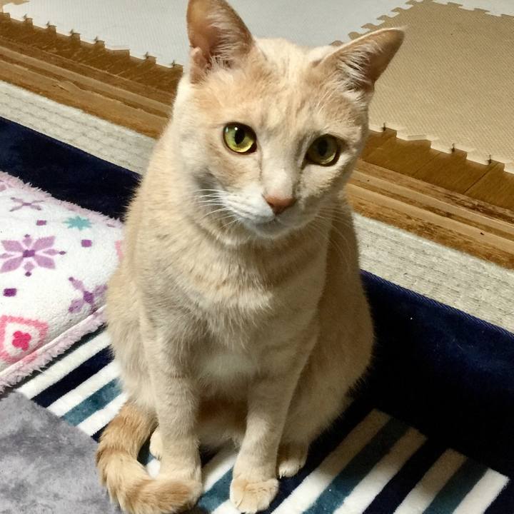 2f3fea02 a50b 4a7a a745 c65a8271fcd0 1525782629034