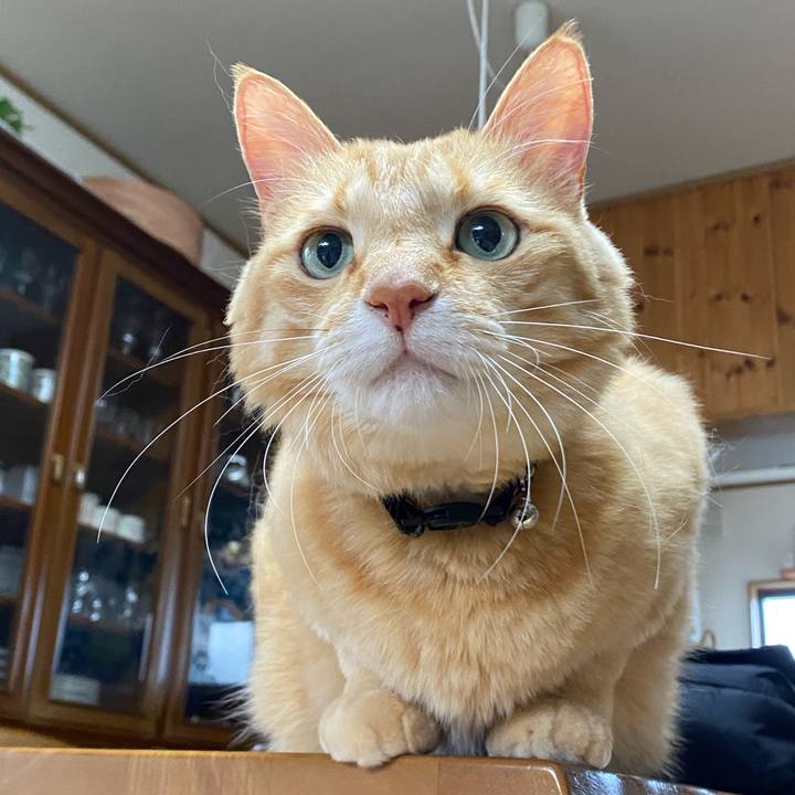 2f3ff41c a2b3 4f9a b72b 36ba7a9ee136 1720216474011