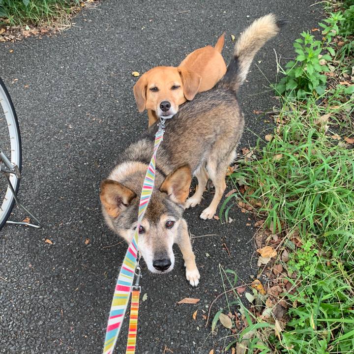 2f400e2b df8e 48d4 ab3b 7c2bf8e75101 1569457935327