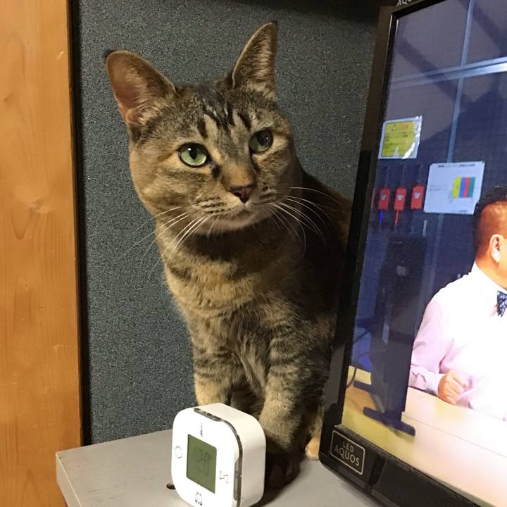 2f405822 3448 47ab b94b b2d0df843ad6 1736418787814