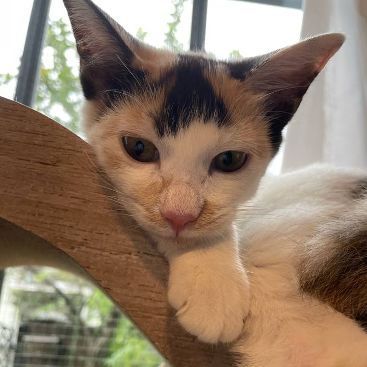 2f40869b 8354 4d19 bfe0 5e905b1e5728 1663648876181