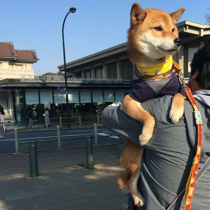 2f40a553 a378 4438 8810 f2e5c70f12aa 1516550826916