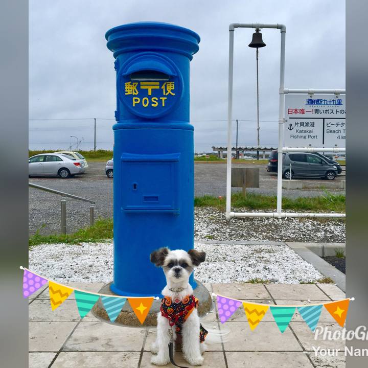 2f40b0cd a62d 42f8 b728 d834a26a8acb 1508103119997