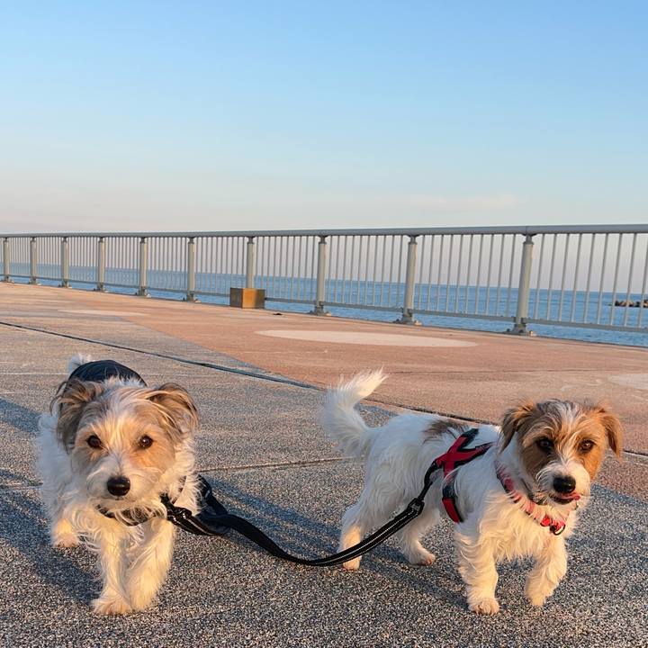 2f40c6bc b905 477e aa51 bd1b7f40b194 1771669094932