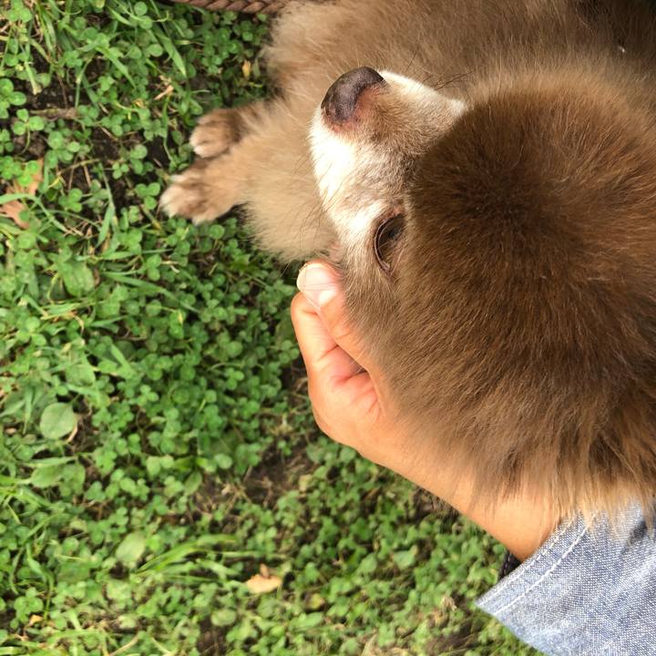 2f40eeb9 6a96 42b8 9b58 383e5ce5a8f8 1633910752350