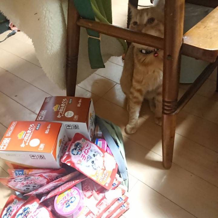 2f40fb8f d9ae 4a5c 91aa c7cb3a53a6e1 1636017890598