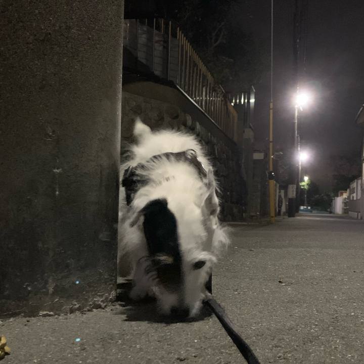 2f41017b 6caa 4655 9240 75727db69f03 1729773475857